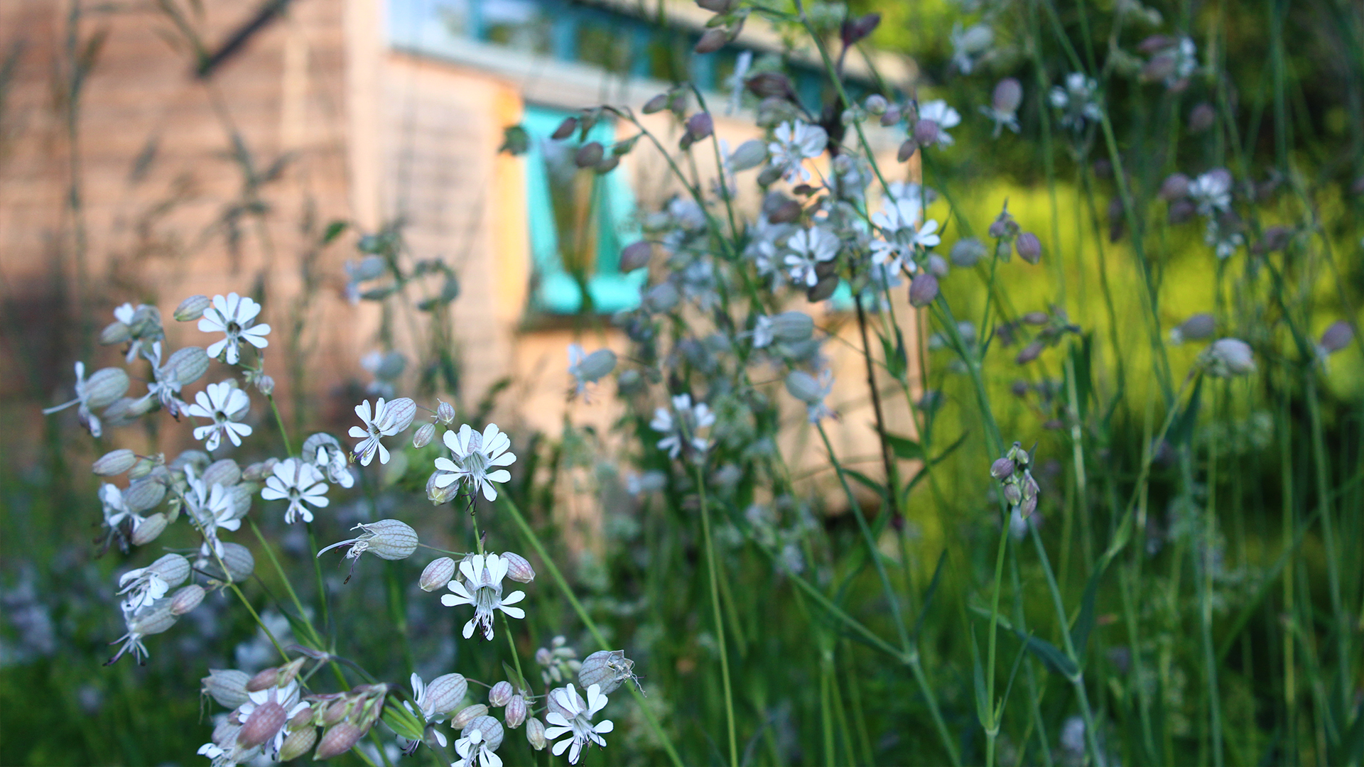 Klaus Sawetzki Leistungen Garten Instandhaltung Wuppertal