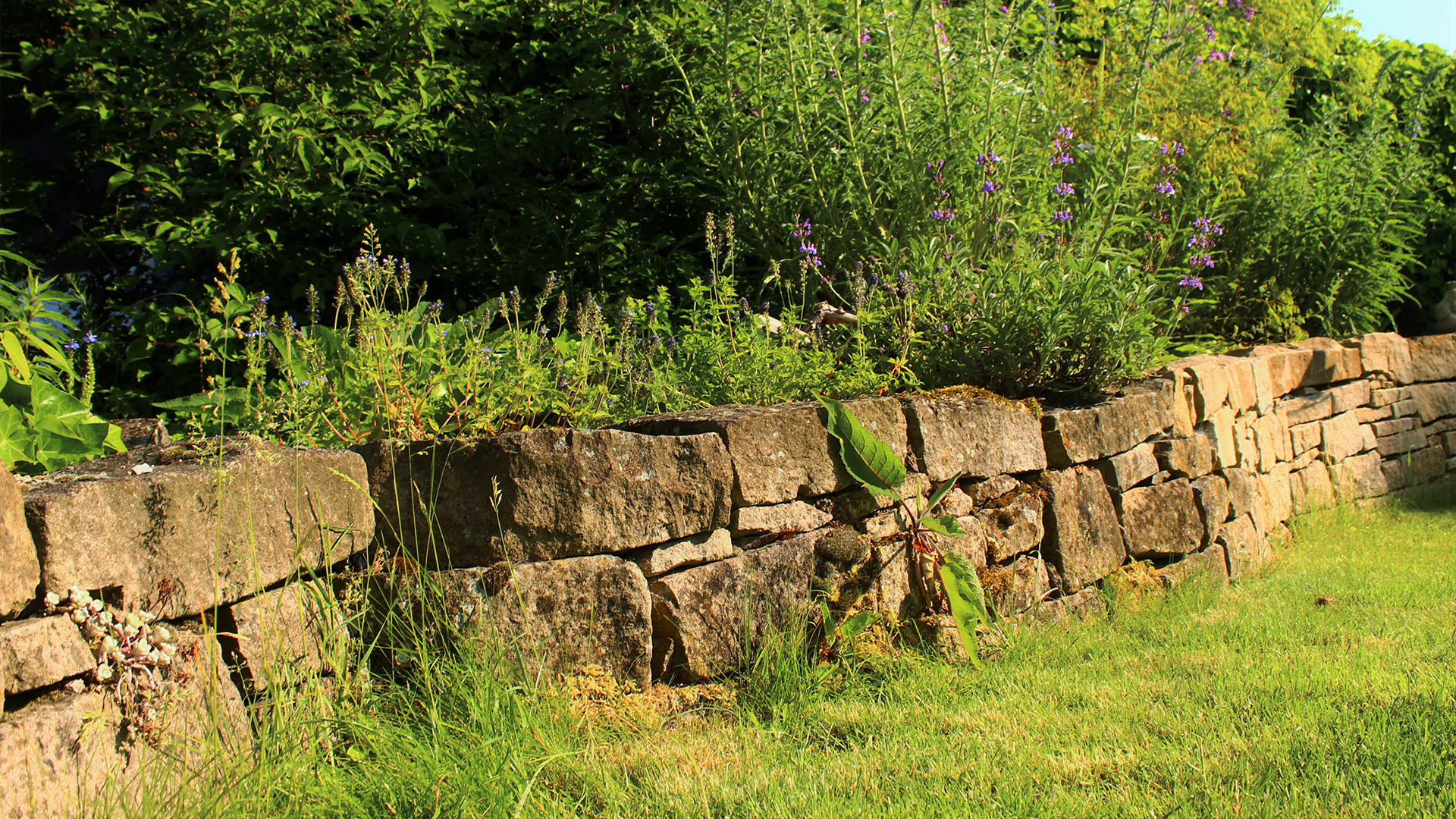 Klaus Sawetzki Leistungen Gartenpflege Wuppertal